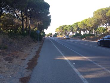 Terreno industriale in affitto a Avenida del Mueble