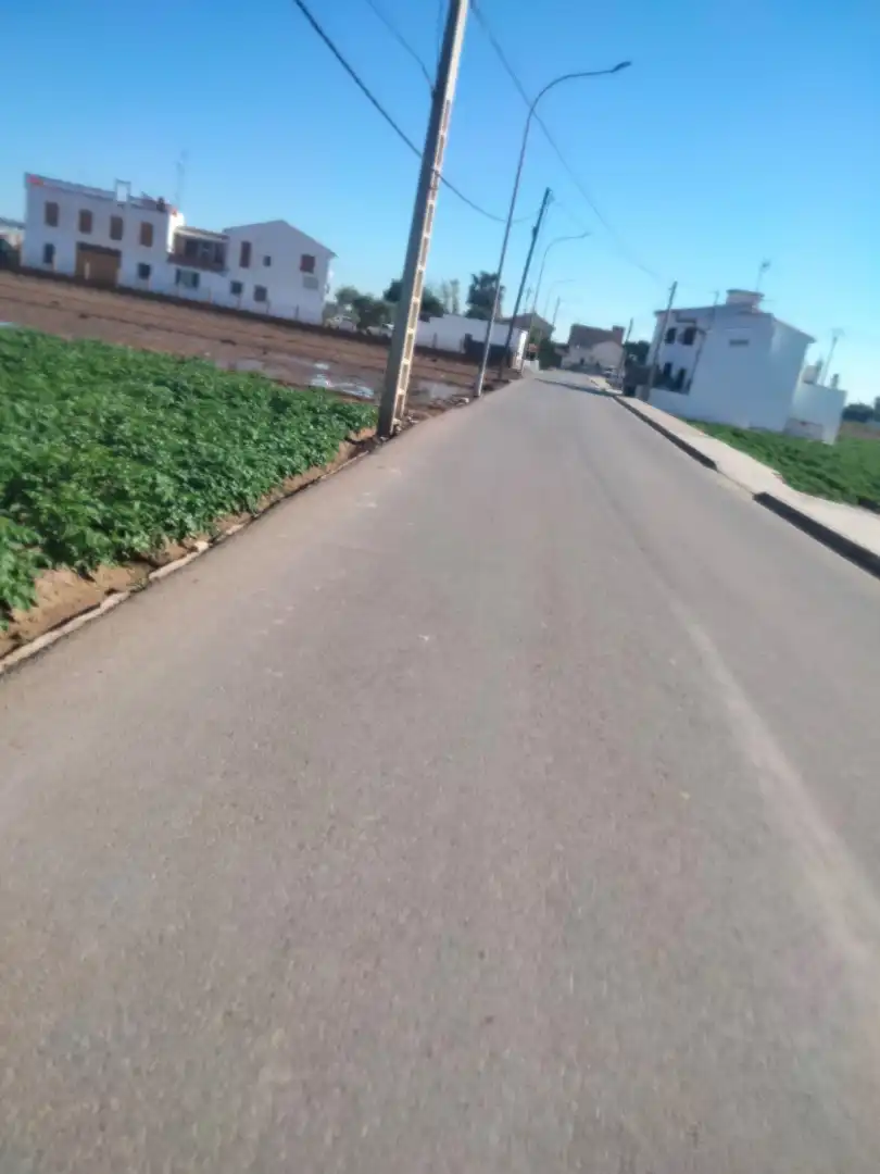 Rural land for sale in Almàssera