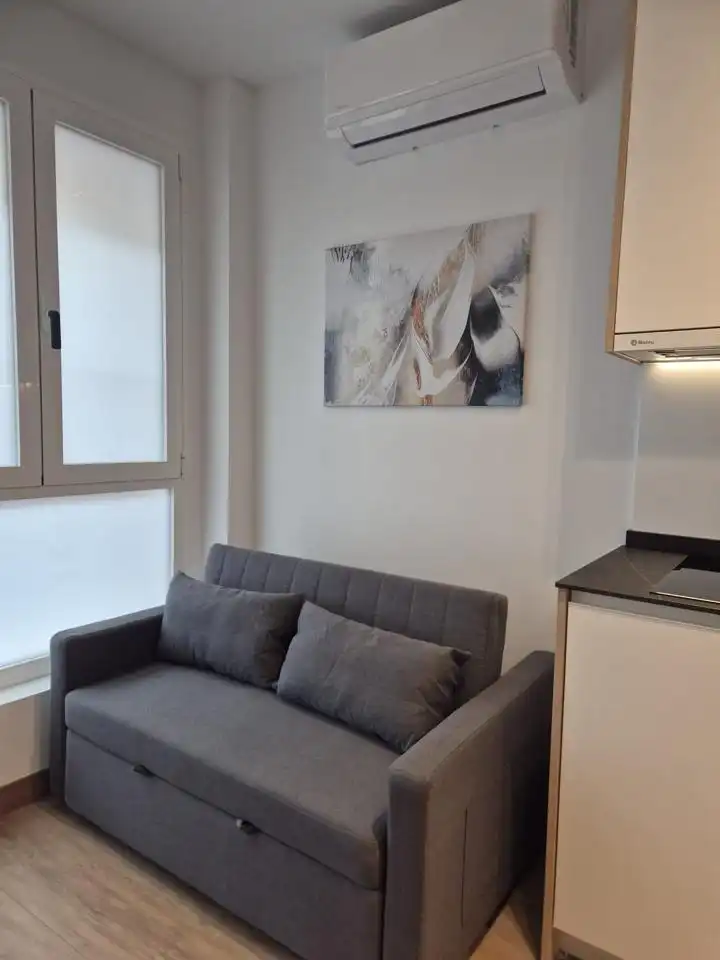 Sala d'estar de Estudi de lloguer en Madrid amb Aire condicionat