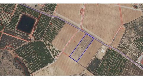 Superficie total 4057 m², terreno superficie solar 4057 m², cultivable (regadio). Índice de referencia de precios de alquiler: 