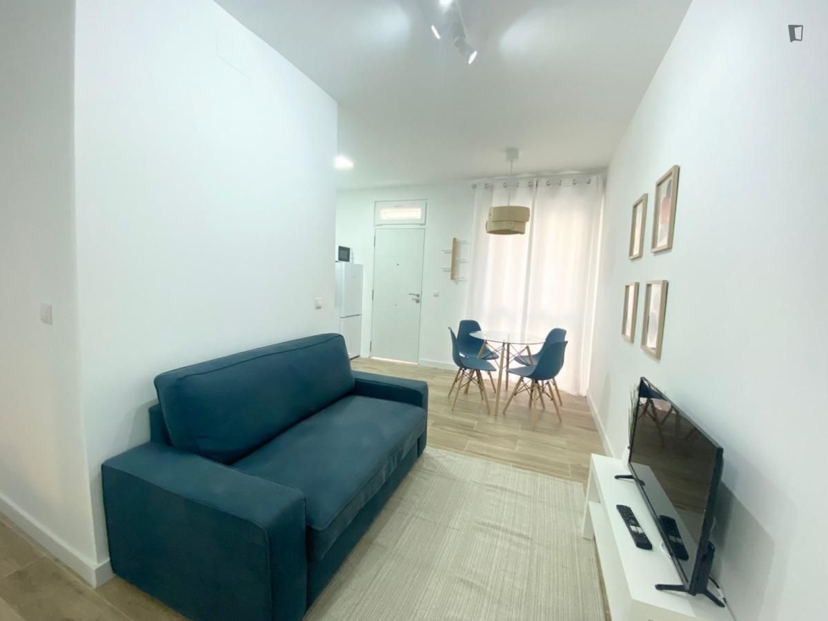 Living room of Apartment to rent in  Madrid Capital  with Furnished, Washing machine and Internet