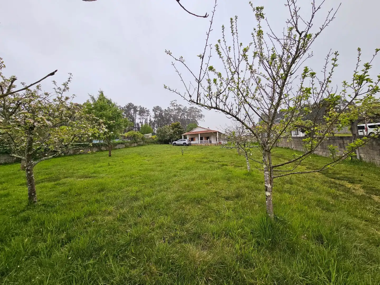 Casa o chalet en venta en Aldea de Arriba parroquia Rois, Santa Marta de Bab, Bergondo