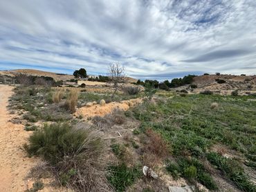 Terreno rustico in vendita a Jubalcoi