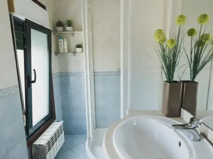 Baño de Casa o chalet en venta en Vigo 