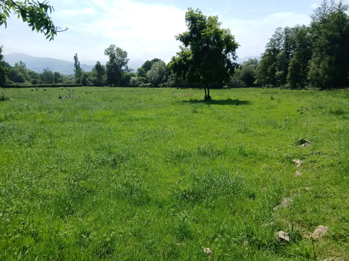 Terreni e lotti in vendita a San Felices de Buelna, imagen 12