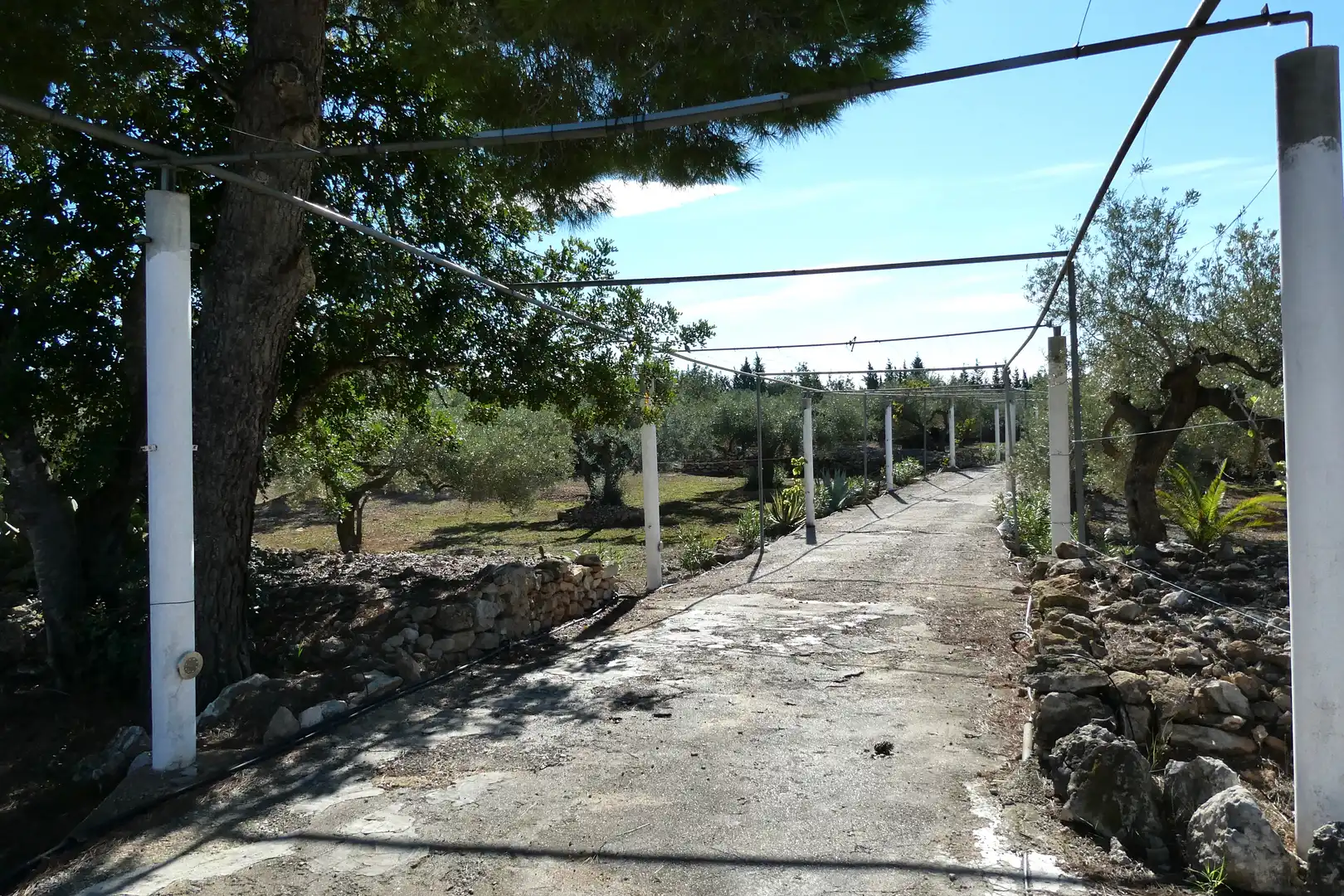 Vista exterior de Finca rústica en venda en L'Ampolla amb Aire condicionat, Jardí privat i Piscina