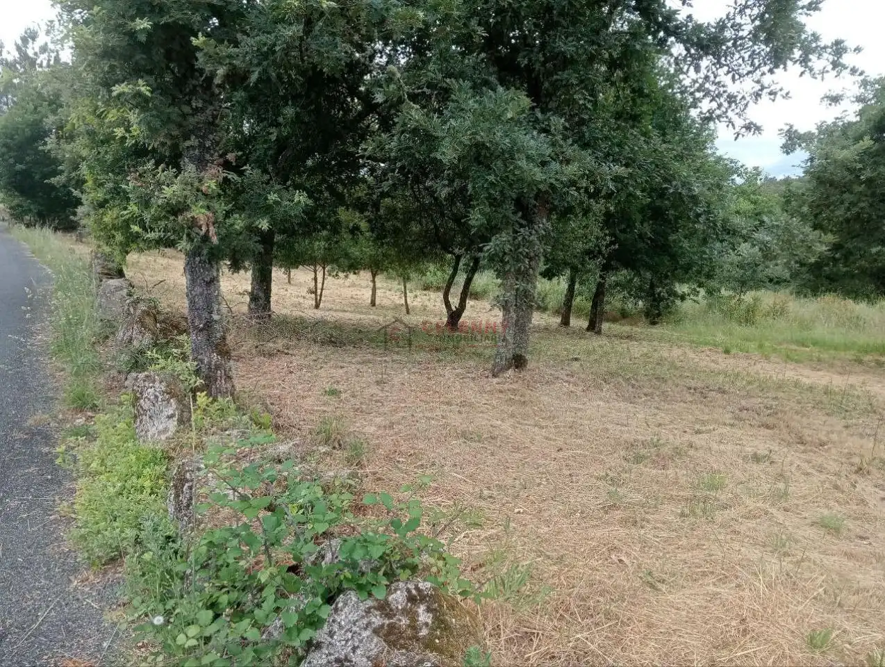 Terreni e lotti in vendita a San Cibrao das Viñas, imagen 16