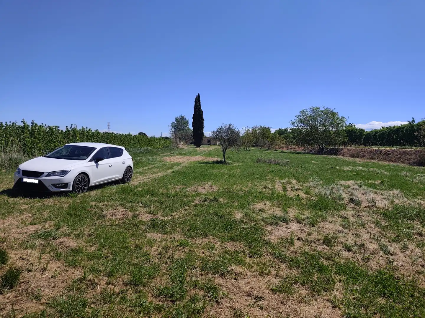 Land for sale in Juneda