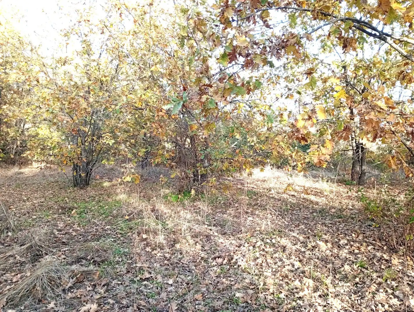 Terreni e lotti in vendita a Viandar de la Vera, imagen 29