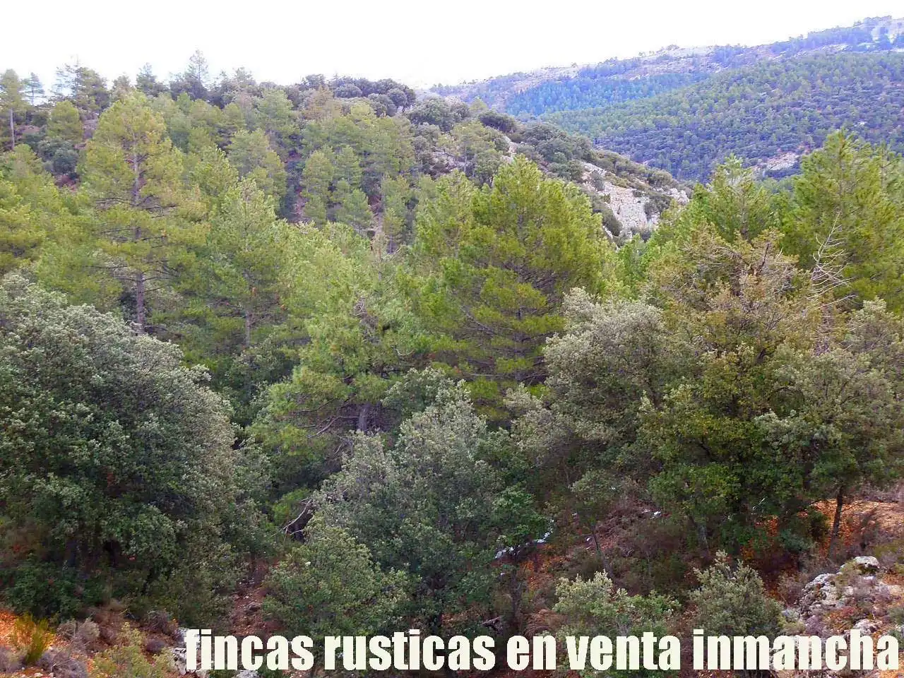 Terreno rústico en venta en Nerpio, imagen 2