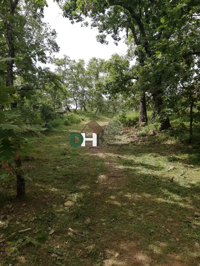 Finca rústica en venda a Perales del Puerto