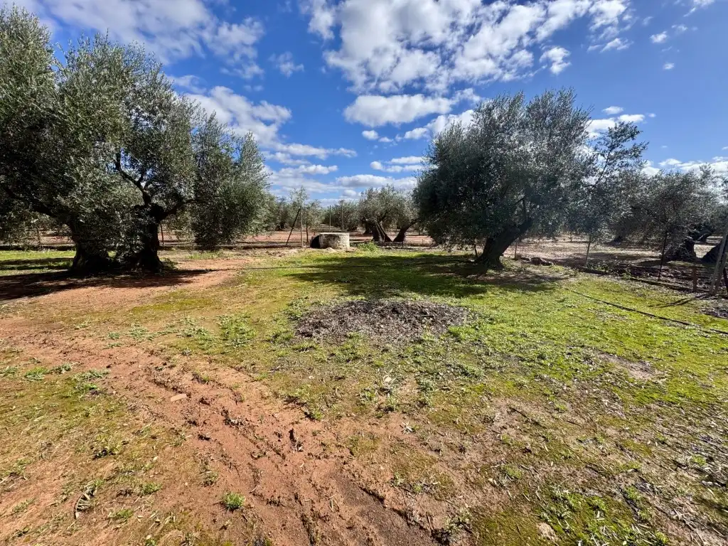 Residencial en venda a Diseminados Dehesilla(Huertas Extr)La, Andújar