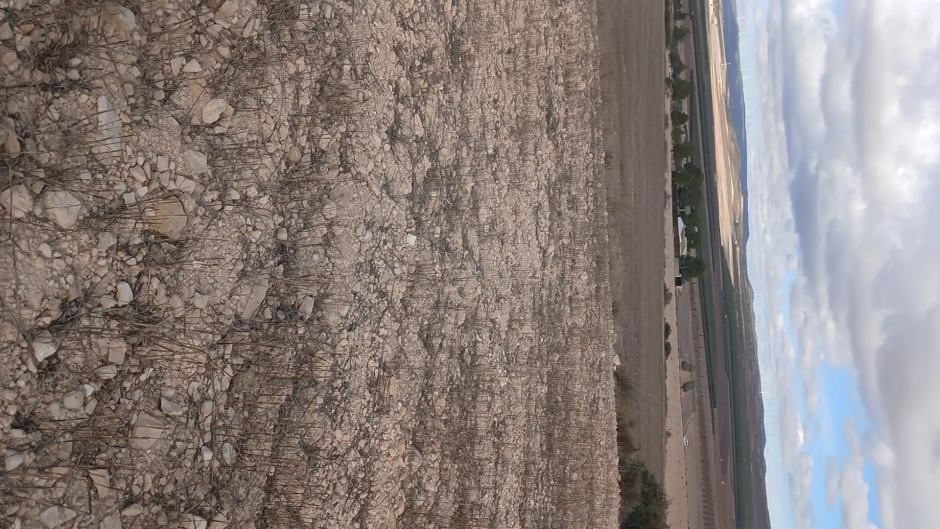 Residential land for sale in Yecla, imagen 6