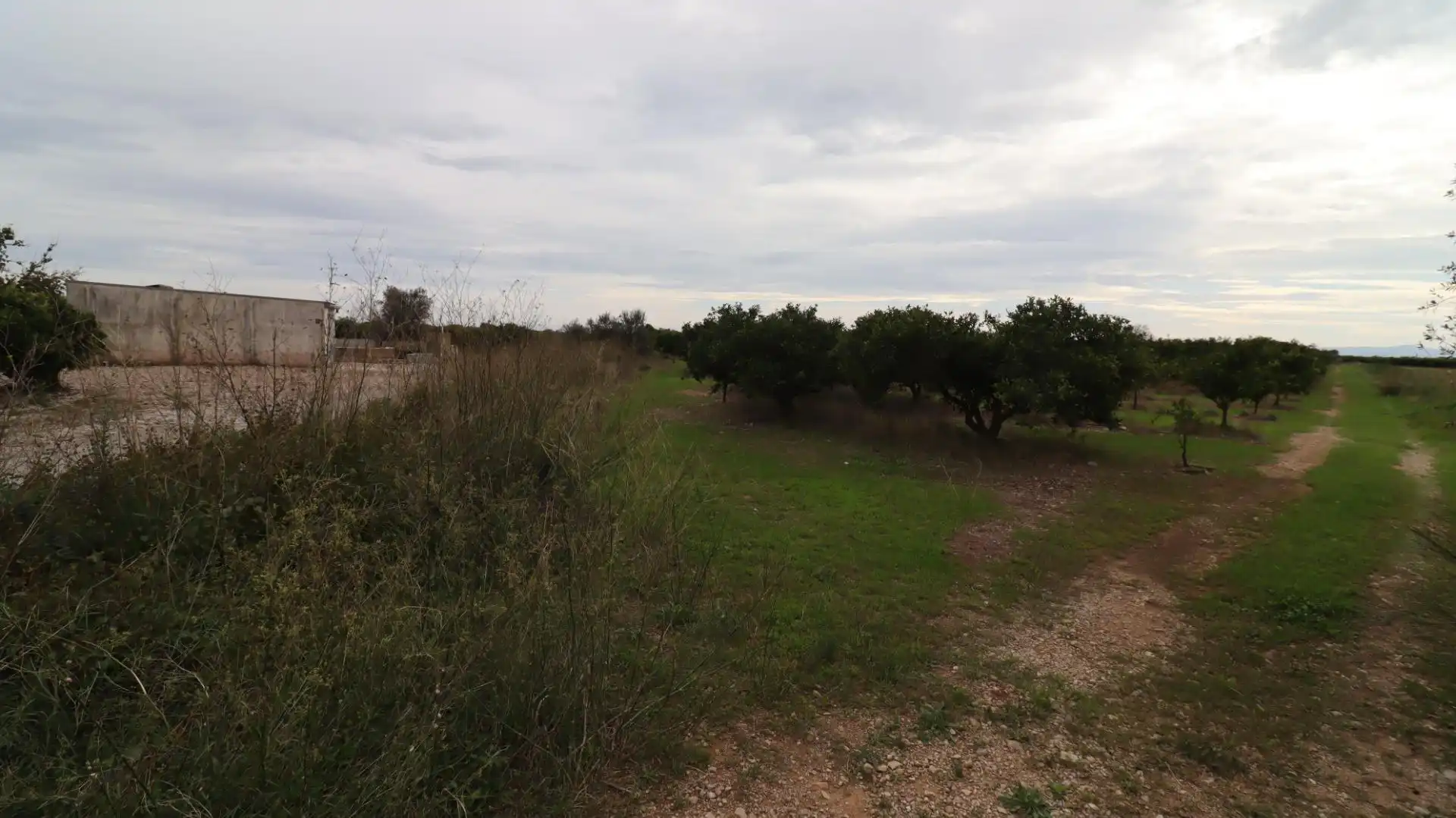 Terreno rustico in vendita a Partidas de interior - Zona Rústica, imagen 14