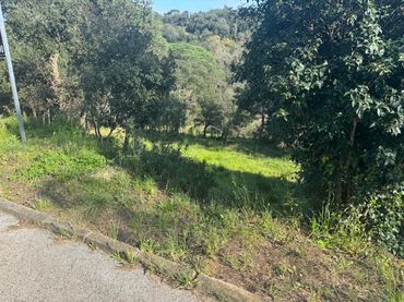 Terrain résidentiel à vendre à Carrer l'Avet 456