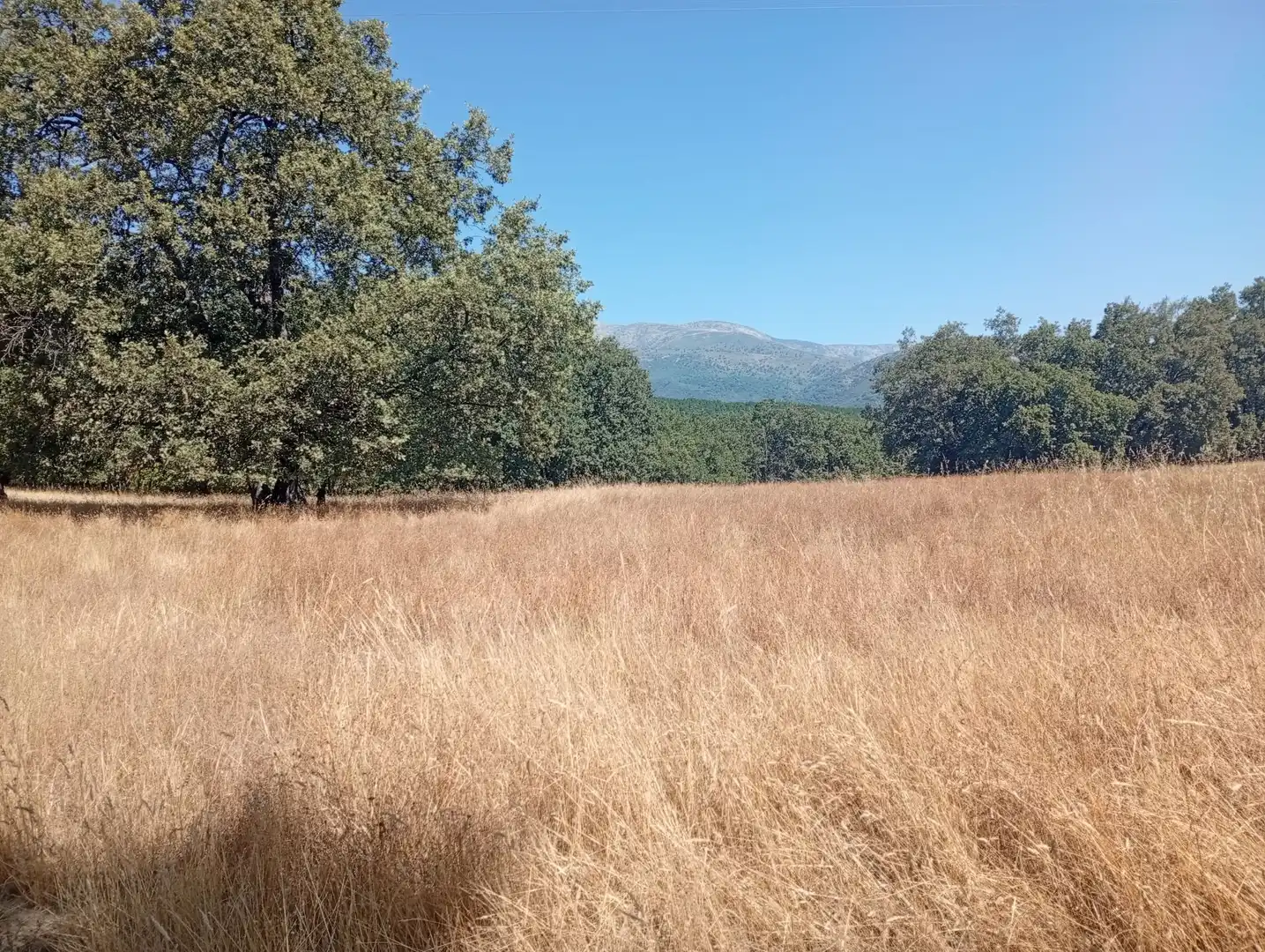 Terreni e lotti in vendita a Villanueva de la Vera, imagen 69