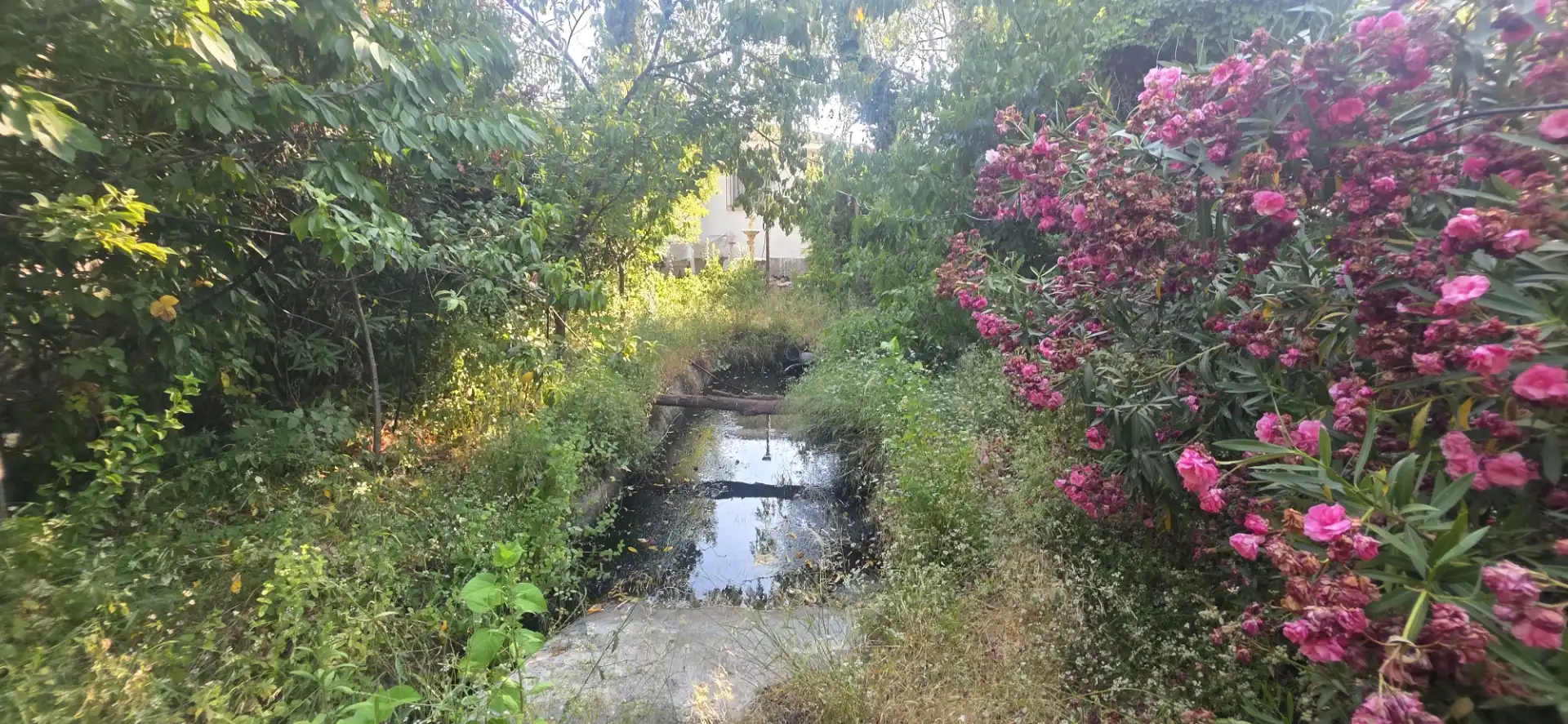 Casa o xalet en venda en La Zubia amb Aire condicionat, Terrassa i Piscina