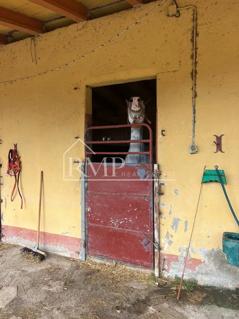 Maison rustique à vendre à Fogars de la Selva, imagen 4
