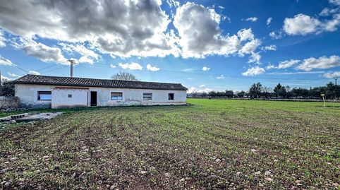 Foto 2 de Terreny industrial en venda a Binissalem, Illes Balears