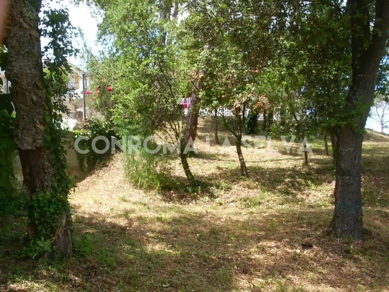 Residential land for sale in Residencial Park