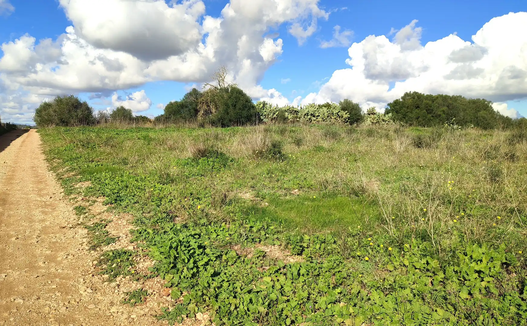 Rural land for sale in Diseminado Cdte Primero 3, imagen 2