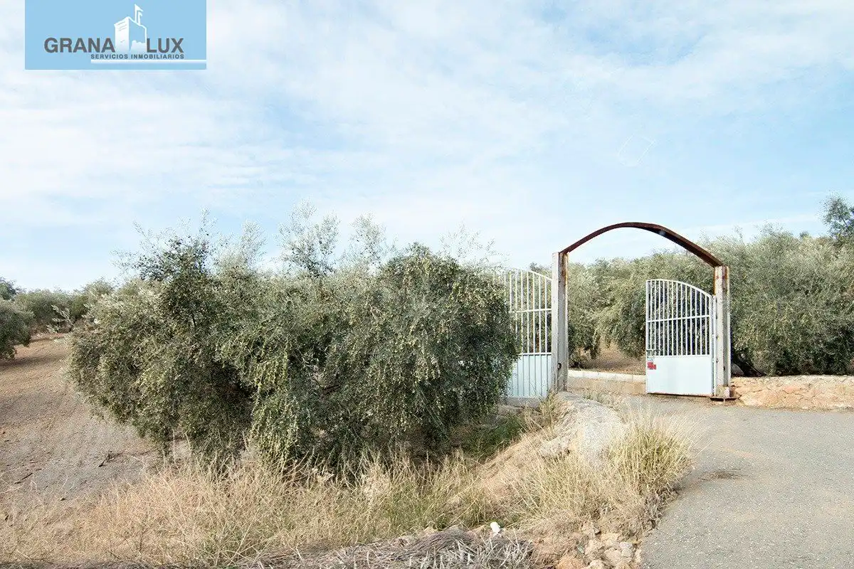 Country homes for sale in Loja