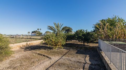 Photo 4 of Houses for sale in Partida Valverde Bajo, 1045, Valverde, Elche / Elx