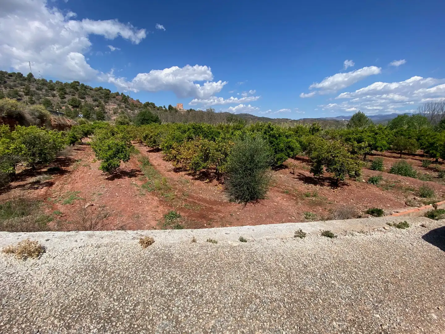 Rural land for sale in Quebranta