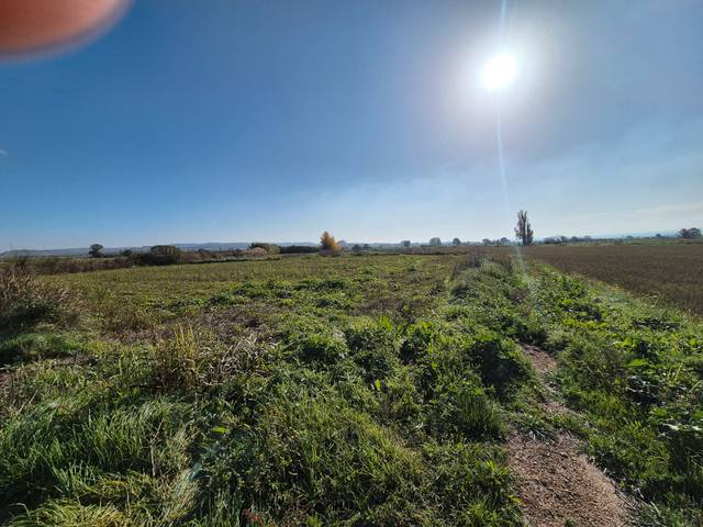 Terreno en Venta en Calle Castillo, Mariano, 64 en Villamayor de Gállego