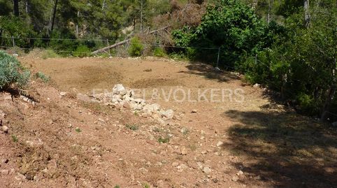 Destacado terreno con precio negociable donde construir la vivienda de sus sueños, immagine 4