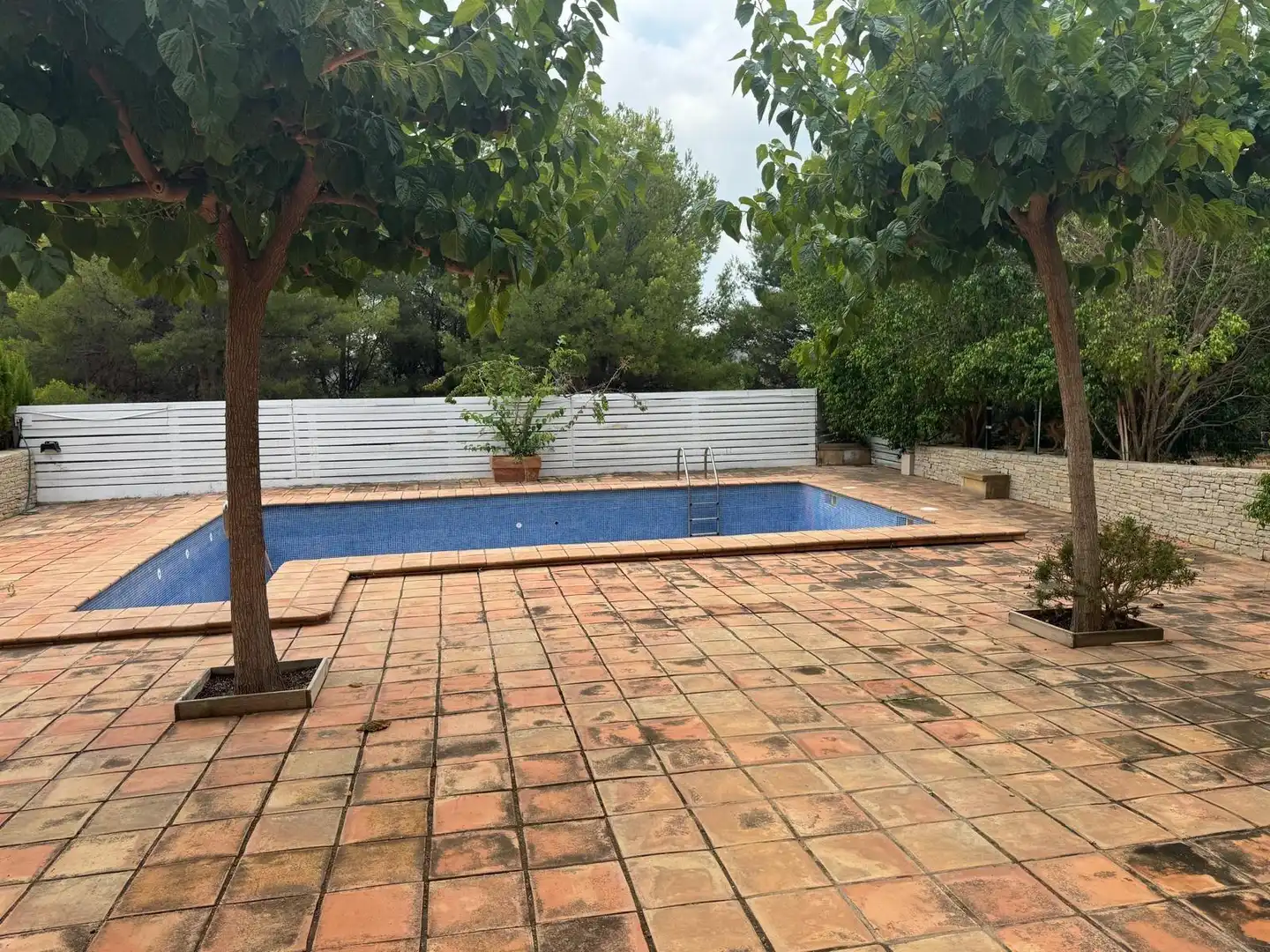 Piscina de Casa o xalet en venda en Borriol amb Aire condicionat, Jardí privat i Terrassa
