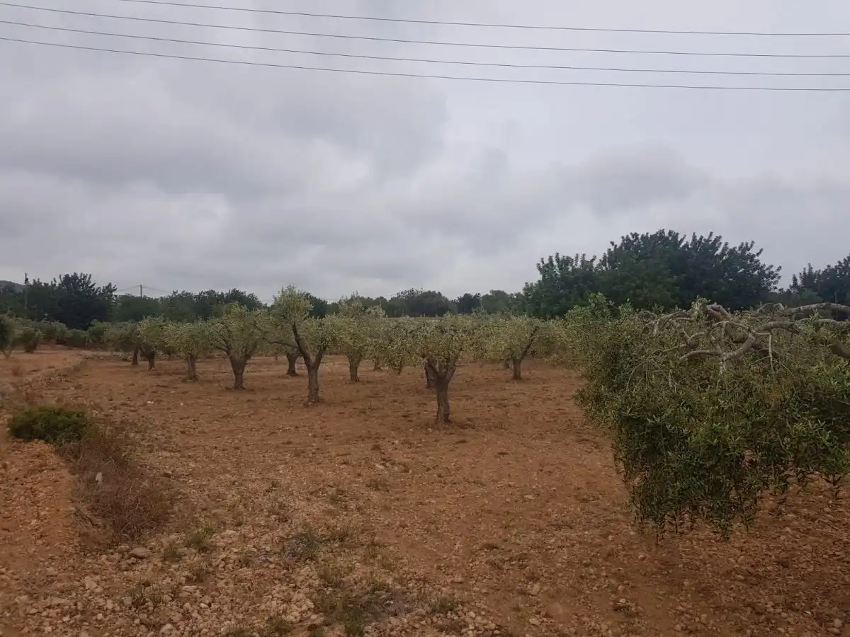 Finca rústica en venda en Roda de Berà amb Aire condicionat, Calefacció i Jardí privat