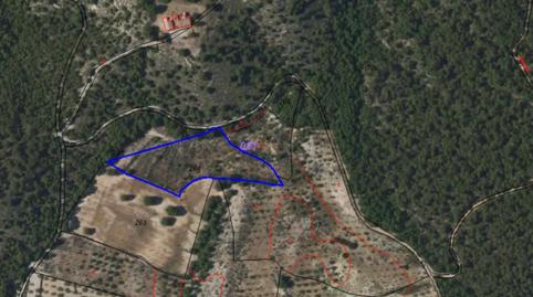 Foto 2 de Terreny en venda a  Polígono 21 Parcela 265 la Bermeja. Ricote (murci, Ricote, Murcia