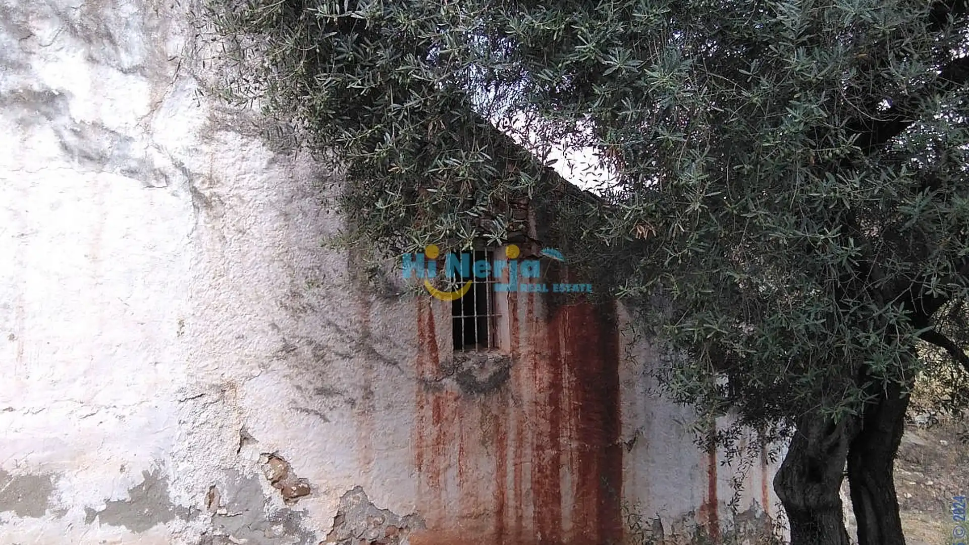 Vista exterior de Finca rústica en venta en Cútar