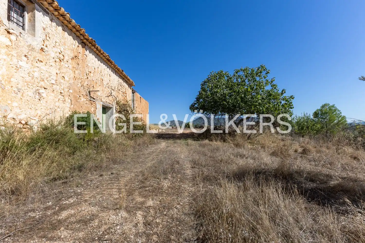 Terrain rustique à vendre à Requena, imagen 30