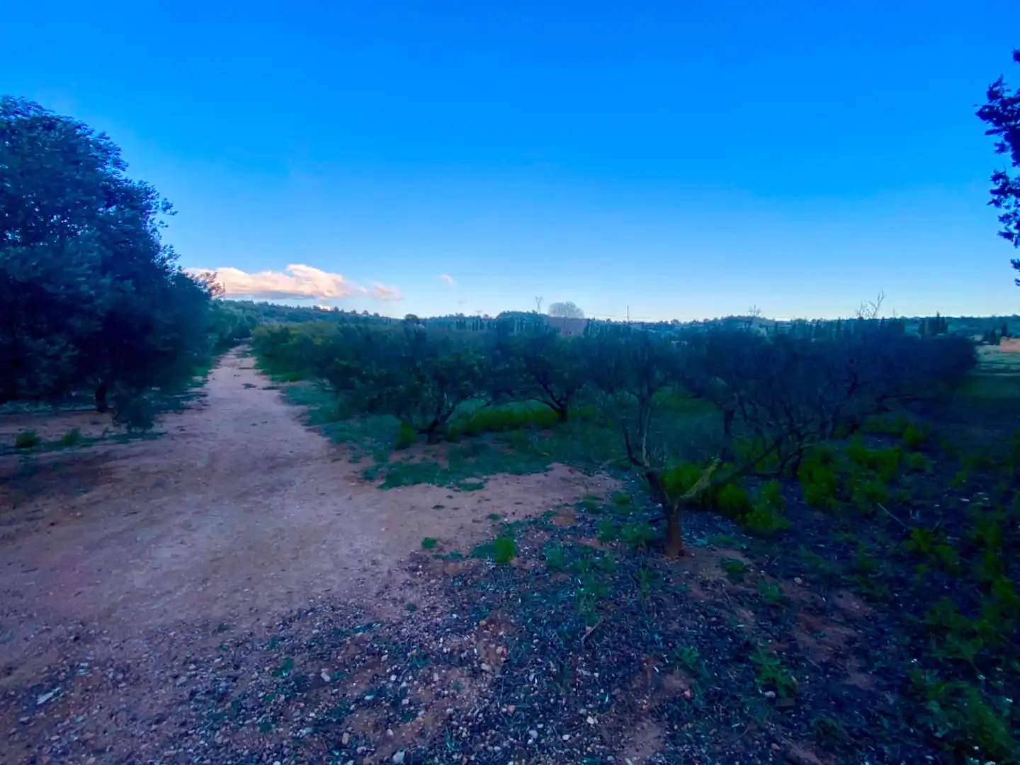 Finca rústica en venda en Masdenverge amb Piscina