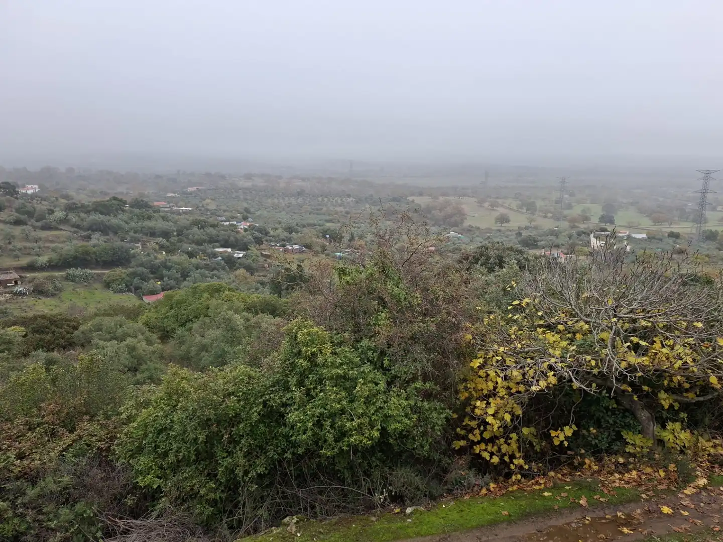 Terreni e lotti in vendita a Malpartida de Plasencia, imagen 2