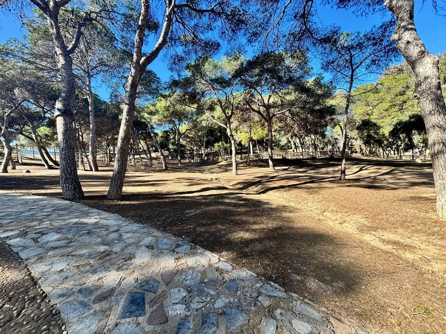 Ático con terraza en venta en Guardamar Playa, imagen 15