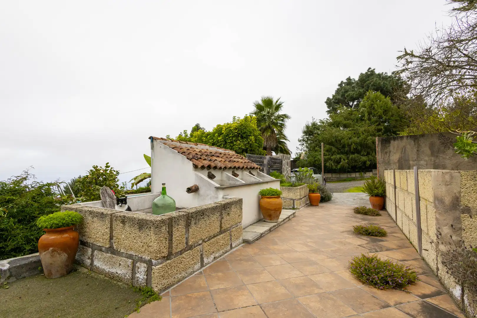 Finca rústica en venta en La Vega - El Amparo - Cueva del Viento