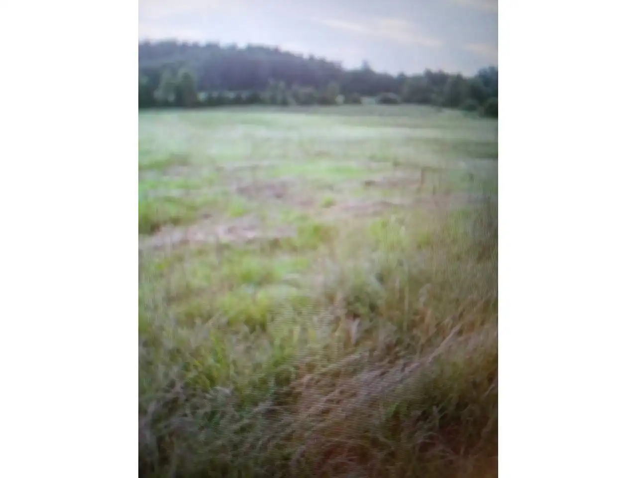 Terreno en venta en Les Borges Blanques