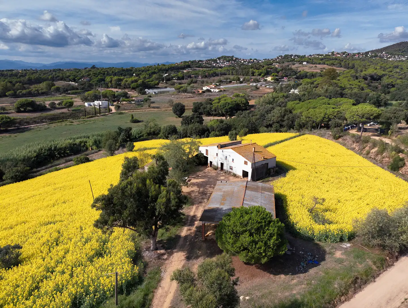 Vista exterior de Finca rústica en venda en Mas Mora - Sant Daniel