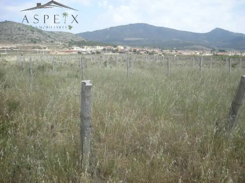 Hotel zum Verkauf in Hondón de las Nieves / El Fondó de les Neus, imagen 4