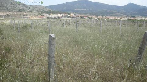 PARCELA CON ALBERGUE, immagine 4