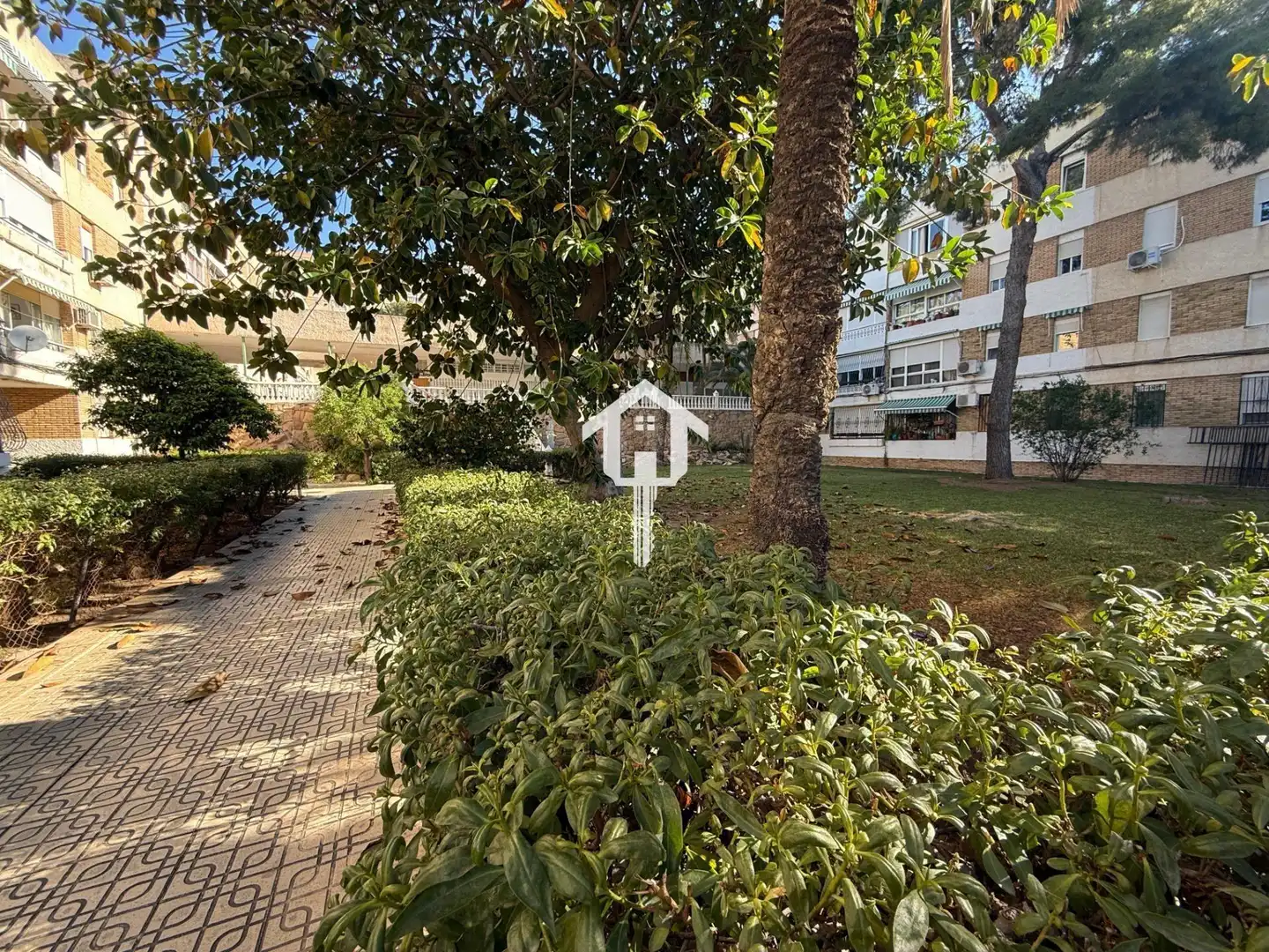 Vista exterior de Pis en venda en Alicante / Alacant amb Terrassa