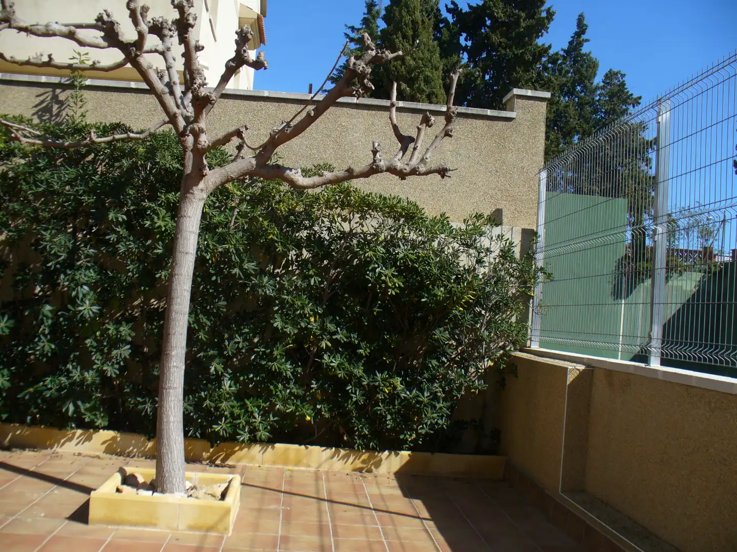 Casa aparellada amb jardí en venda a Carrer Farigola, imagen 10