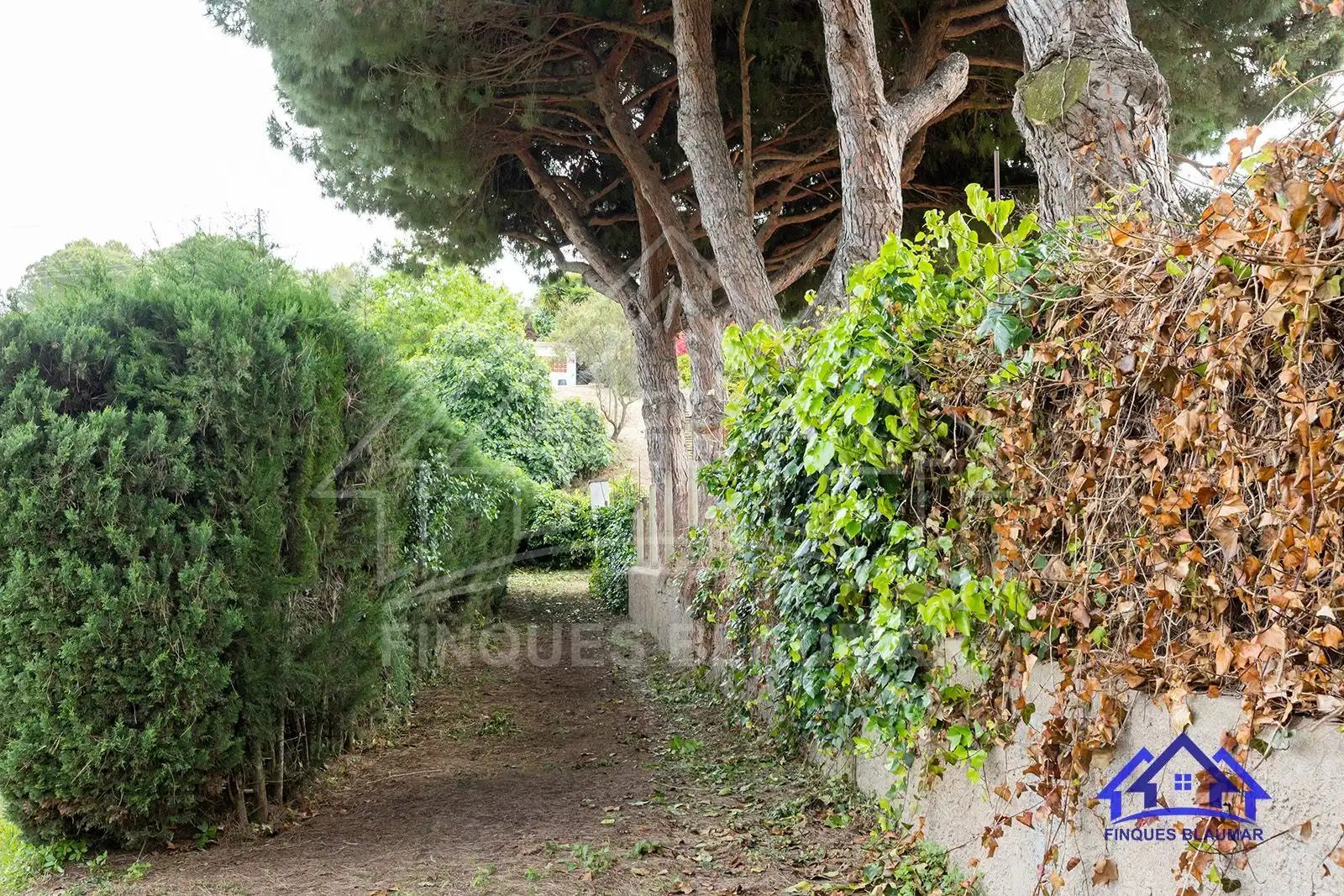 Land for sale in Urbanitzacions