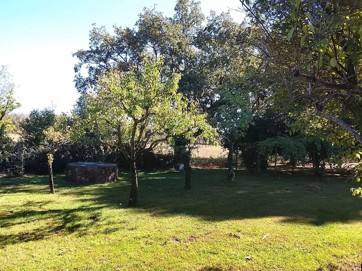 Haus mit Garten zum Verkauf in Madrigal de la Vera, imagen 113