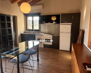 Kitchen of Flat to rent in Camarasa  with Air Conditioner, Heating and Terrace