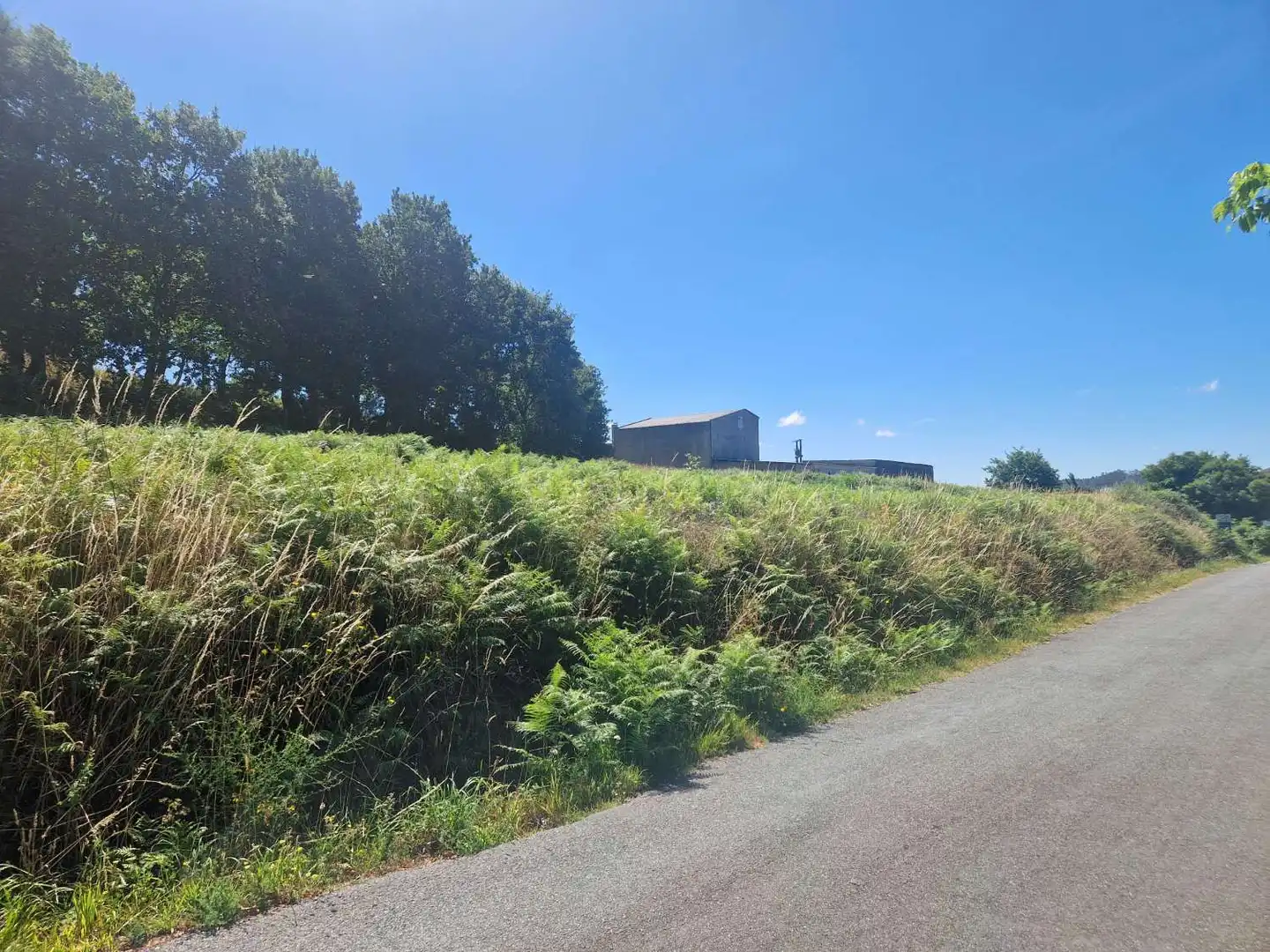 Terrenos y solares en venta en Negreira, imagen 4