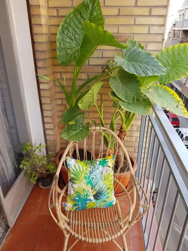 Terrasse von Wohnung zur Miete in Granada mit Heizung, Möbliert und Ofen